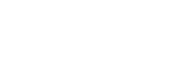 Timeless Wood Floors logo